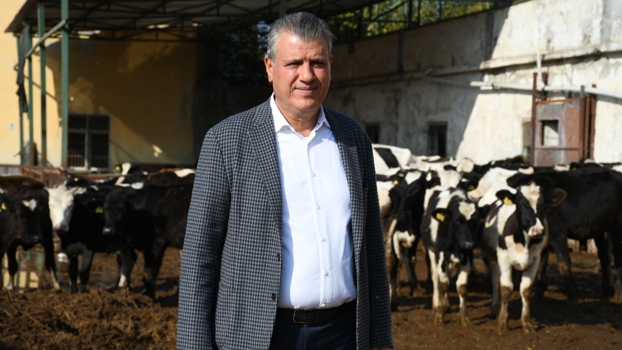 Barut'tan Şap Salgını Tepkisi:''Risk Büyüyor!''