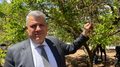 Barut'tan Zirai Don Çağrısı:''Zarar Büyük, Destek Yetersiz"