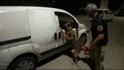 5 Kilo Esrarla Yakalanıp, Haberimiz Yok Dediler
