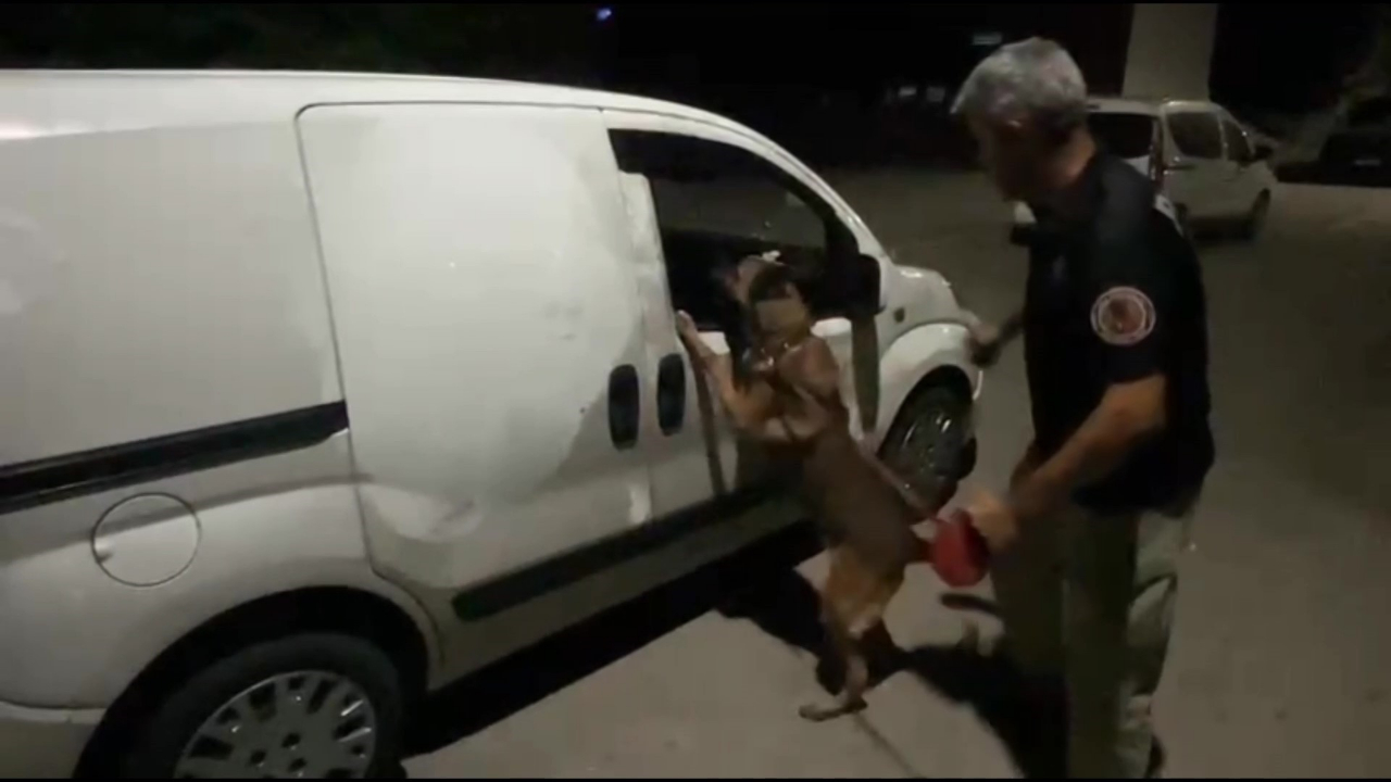 5 Kilo Esrarla Yakalanıp, Haberimiz Yok Dediler