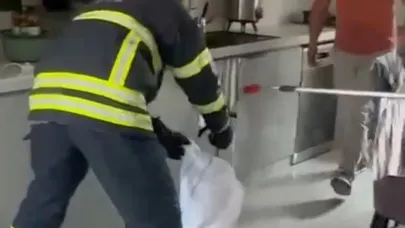 Mutfakta Yılan Çıktı!