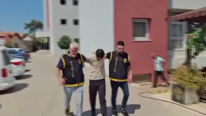 Örümcek Gibi Tırmanıp, Hırsızlık Yaptı