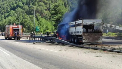Büyükbaş Hayvan Yüklü Tır Alev Alev Yandı