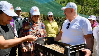 24 Bin Adet Akzambak Soğanı Dağıtıldı