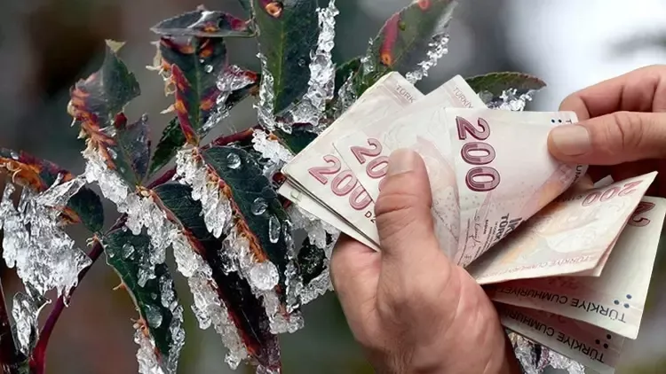 Zirai Dondan Etkilenen Çiftçilere Destek