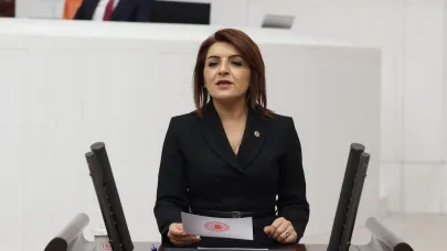 CHP'li Kış:“Meclis’te Yok, Basında Var: Hangi Projeler Bütçeden Silindi?”
