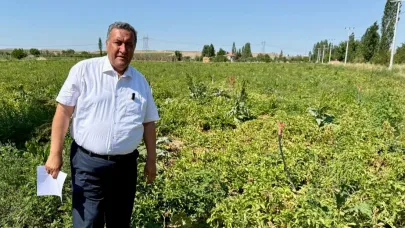Gürer:''Çiftçinin Borcu 1 Trilyon 81 Milyara Çıktı''