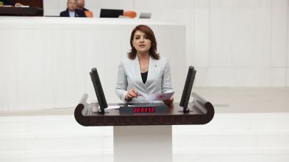 CHP'li Kış'tan Deprem Konutları Eleştirisi:''Vatandaş Hala Konteynerde!''