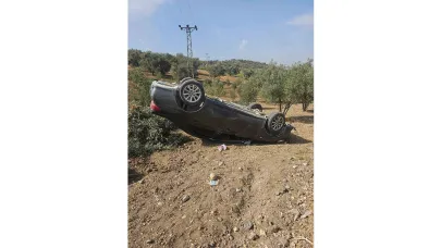 Kontrolden Çıktı, Zeytin Bahçesine Uçtu