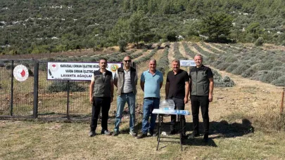 Bakımını yapan kullanım hakkını elde edecek