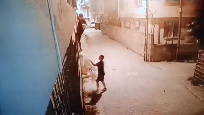 Kediyi Çalıp Fotoğraf Çekindiler: O Anlar Kameraya Yansıdı