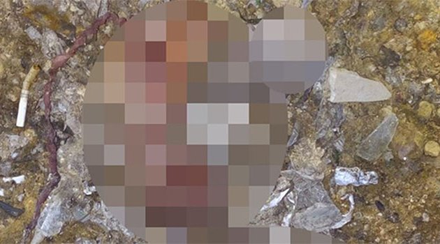 26 cenini gömmeyen atık firmasına 19 bin lira para cezası yazıldı