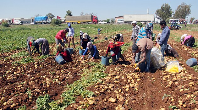 40 lira için 12 saat çalışıyorlar