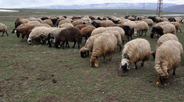 6 bin TL maaşla çalışan bulunamıyor