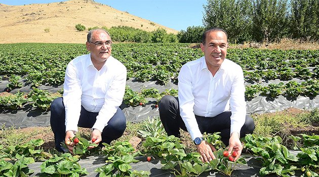 Adana Büyükşehir, kırsalda hayata bağlıyor
