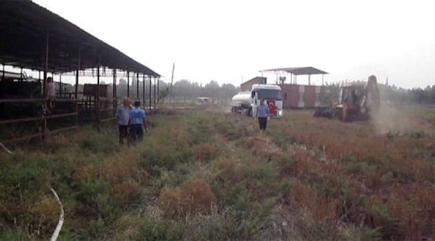Adana’da anız yangını çiftliğe sıçradı
