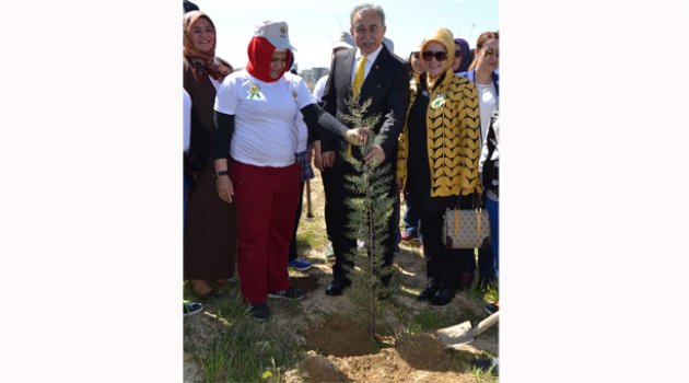 Adana’da "Bereket Ormanı"na fidanlarla buluştu
