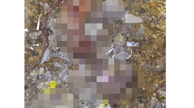 Adana’da çöplükte 26 cenin bulundu