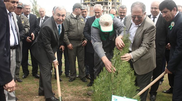 Adana’da her yıl 3.5 milyon fidan toprakla buluşuyor