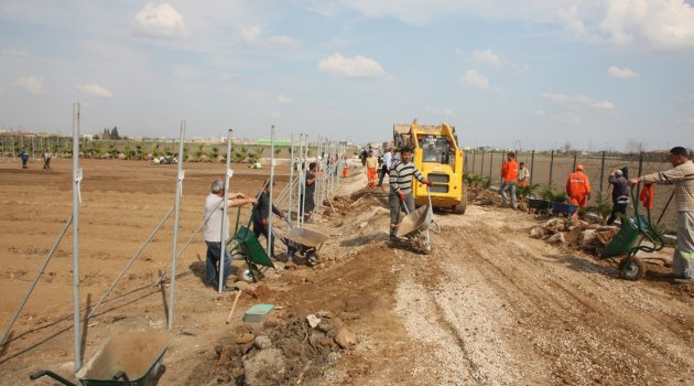Adana’da Hollanda modeli çiçek üretimi için ilk adım