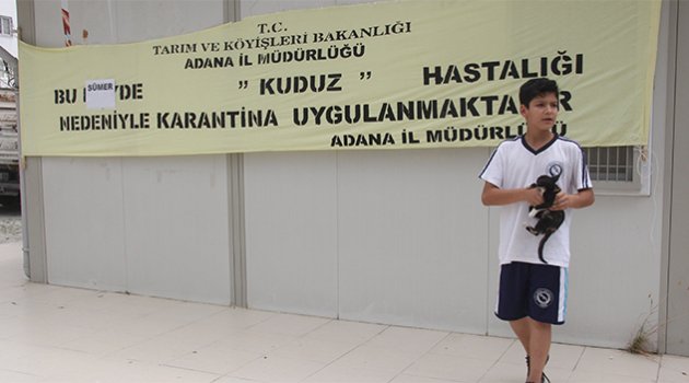 Adana’da kuduz paniği