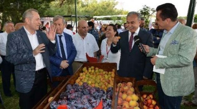 Adana’da meyve bayramı