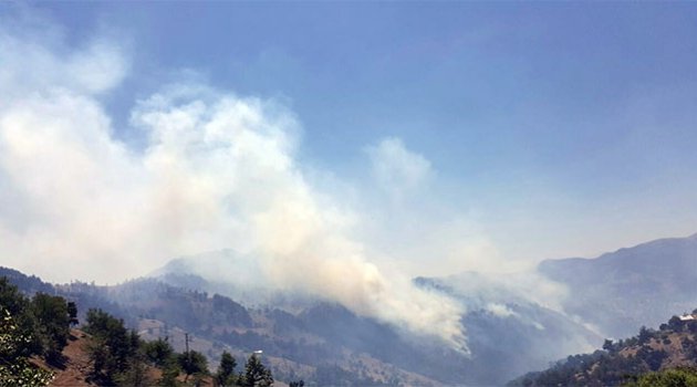 Adana’da Orman Yangını