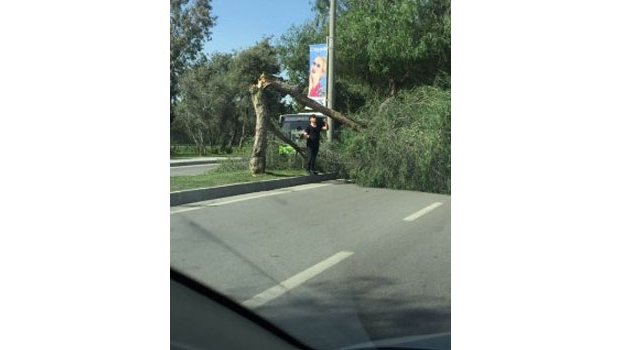 Adana’da Şiddetli Rüzgar Hayatı Olumsuz Etkiledi
