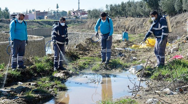 Adana’da Sinek ve Haşereyle Mücadele