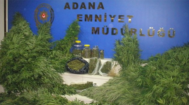 Adana’da Uyuşturucu Operasyonu