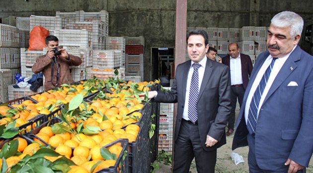 Adana’dan Güvenlik Güçlerine 25 Ton Portakal