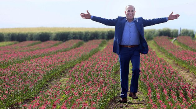 Adana’dan Hollanda’ya Çiçek İhracatı