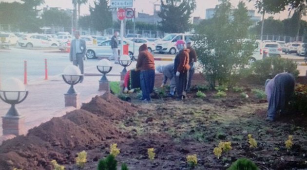 Adana havalimanı belediyelerin işbirliğiyle yeşillendiriliyor