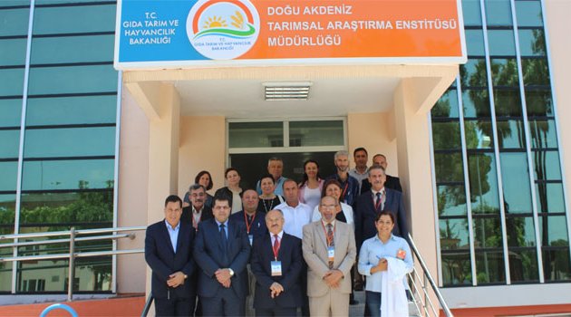 Adana, Irak’a buğday ihraç edecek