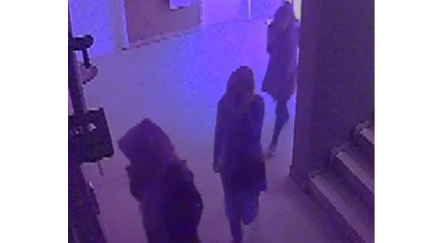 Adana Polisi 20 İlde Hırsızlık Yapan Kadınları Yakaladı