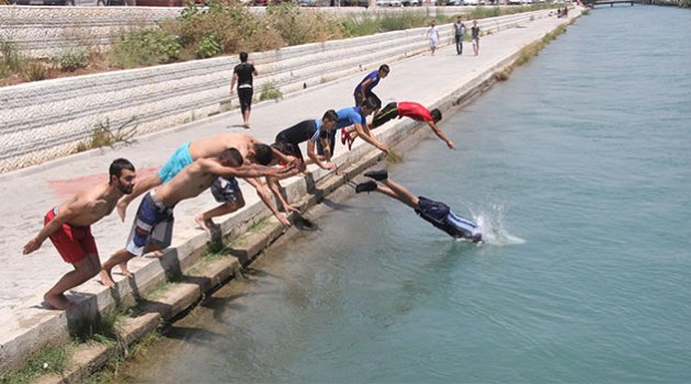 Adana Serinledi