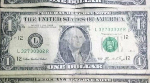 Adana'da akademisyenlerin üzerinden '1 dolar' çıktı