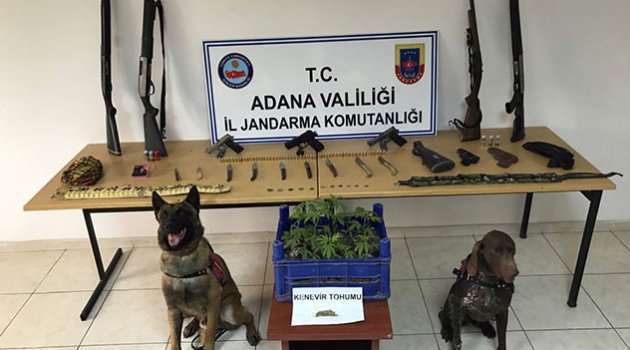 Adana'da büyük operasyon