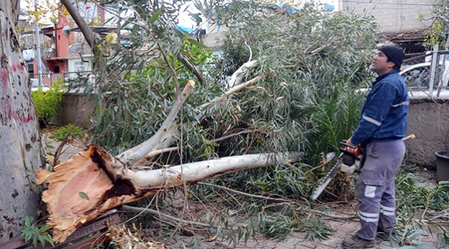 Adana'da şiddetli rüzgar hayatı olumsuz etkiledi