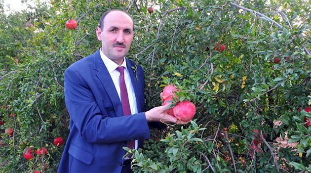 Adana'da yılda 47 bin ton nar üretiliyor