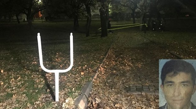 Ağaca asılı erkek cesedi bulundu