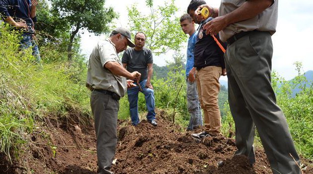 Ağaçlandırmada çağ atladık