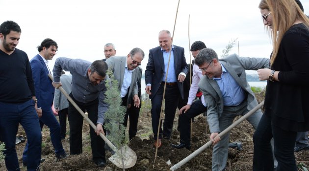 Ak Parti yeşil bir ülke hedefi için fidan dikti