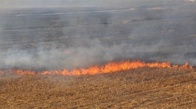 Anız yakanlara para cezası geliyor