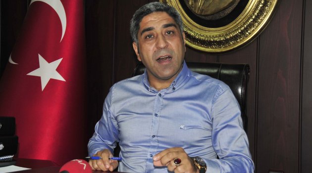 Anne kedi ve yavrularını kim öldürdü?