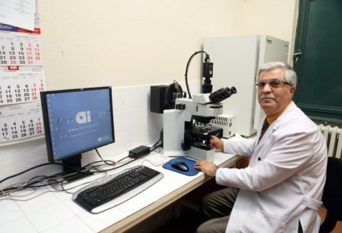 Anneden Bebeğe Geçen Kök Hücreler Kanser Hücresine Dönüşebiliyor