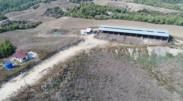Arazi kavgası kanlı bitti: 1 ölü