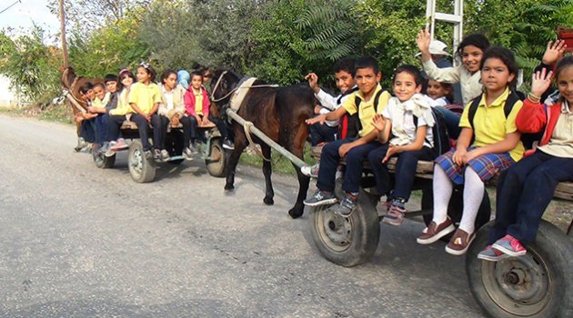 AT ARABALI SERVİS