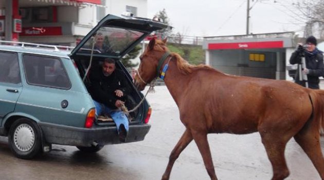 Atını böyle sürükledi