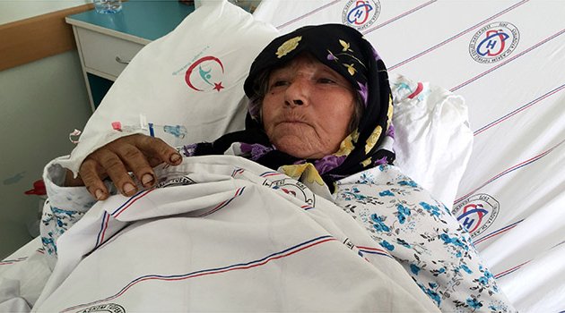 Bahçesindeki ağaçta zeytin toplayan kadın kuş sanılarak vuruldu